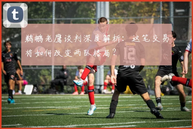 鹈鹕老鹰谈判深度解析：这笔交易将如何改变两队格局？