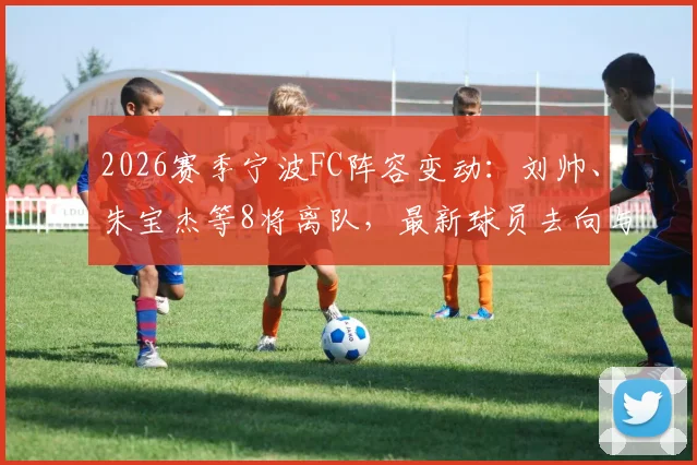2026赛季宁波FC阵容变动：刘帅、朱宝杰等8将离队，最新球员去向与球队影响分析