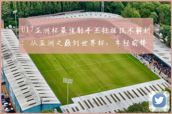 U17亚洲杯最佳射手王钰栋技术解析:从亚洲之巅到世界杯,年轻前锋的成长之路与挑战